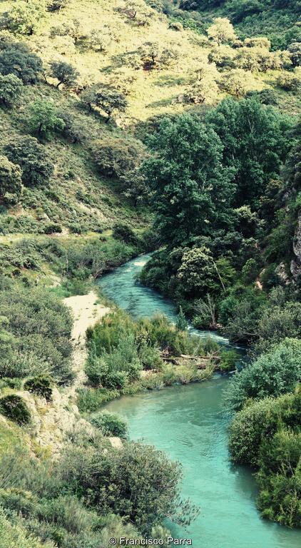 בנאוחאן Casa Rural El Nacimiento מראה חיצוני תמונה