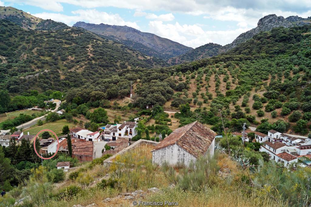 בנאוחאן Casa Rural El Nacimiento מראה חיצוני תמונה