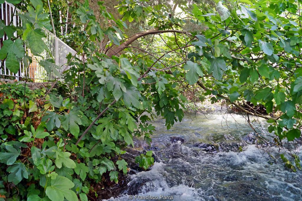 בנאוחאן Casa Rural El Nacimiento מראה חיצוני תמונה